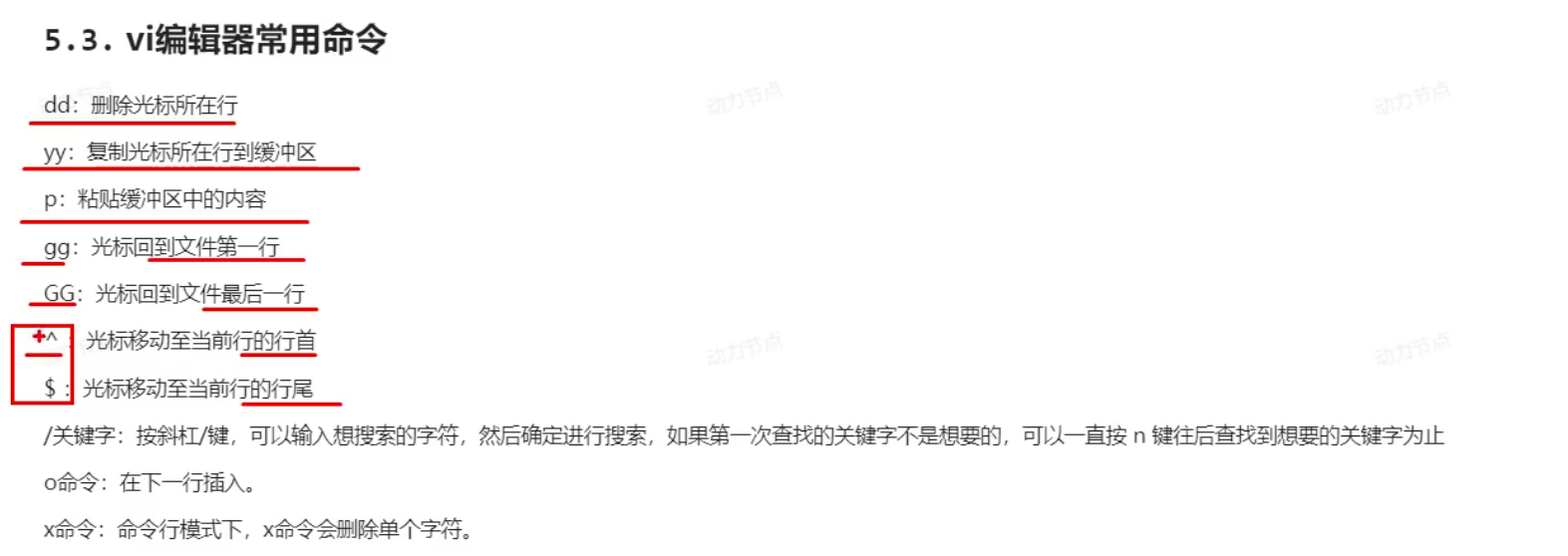 image-20250213174037600